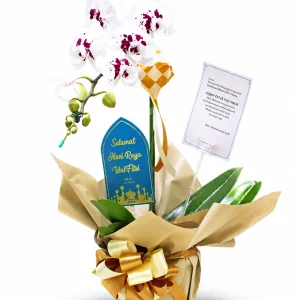 Hampers Bunga Anggrek