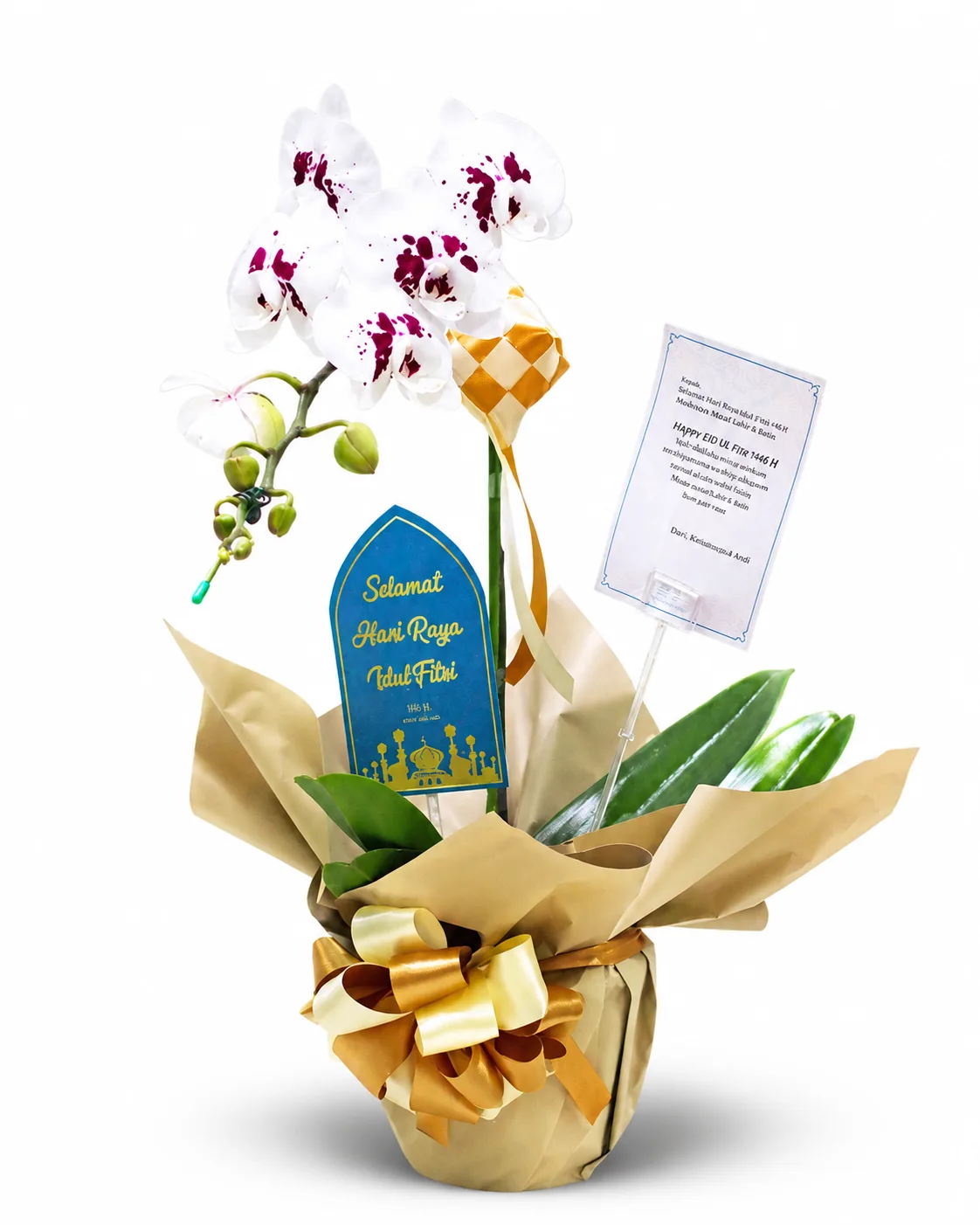 Hampers Bunga Anggrek